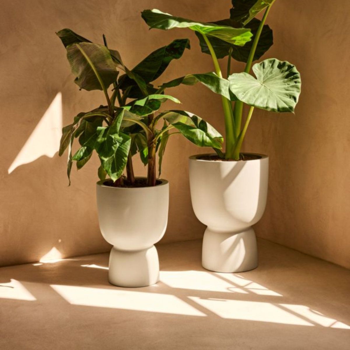 Charles Bentley partners with sustainable plant pot innovator elho to stock premium collection 