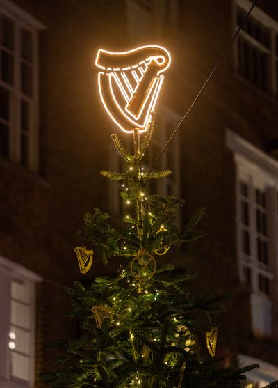 PinPep_TheYardsXmasLights_SJ_095.JPG