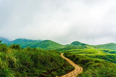 Yangmingshan National Park.jpg