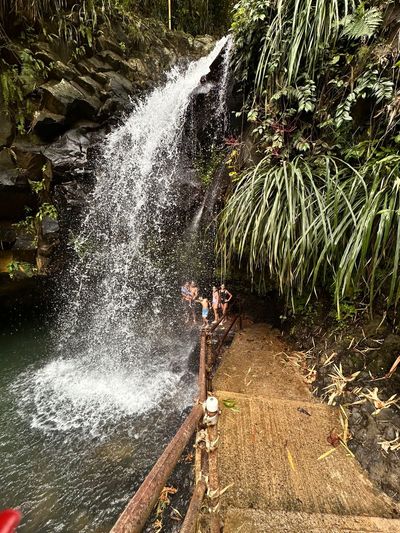 Annandale Falls - Copy.jpg