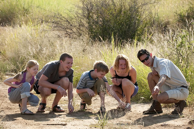 Family Safari.png