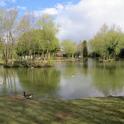 Wassell Grove Camping and Caravanning 1.jpg