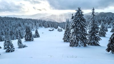 Trysil-ski-resort_Credit - Ivan Nedelchev.jpg