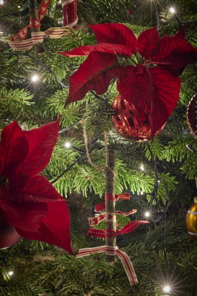 2023_poinsettia_03160_DIY_Rustic_Twig_Tree_Decoration_02 (2).jpg