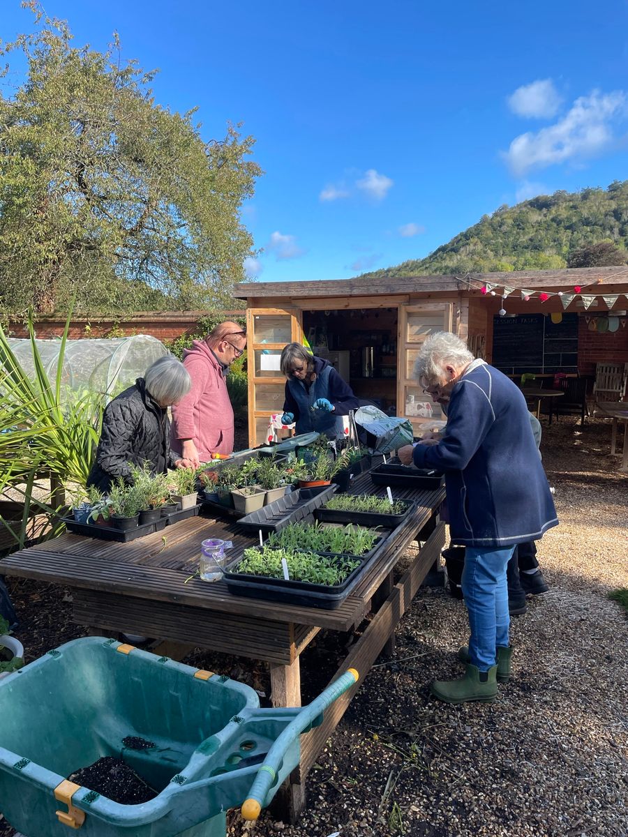 The Patchworking Garden