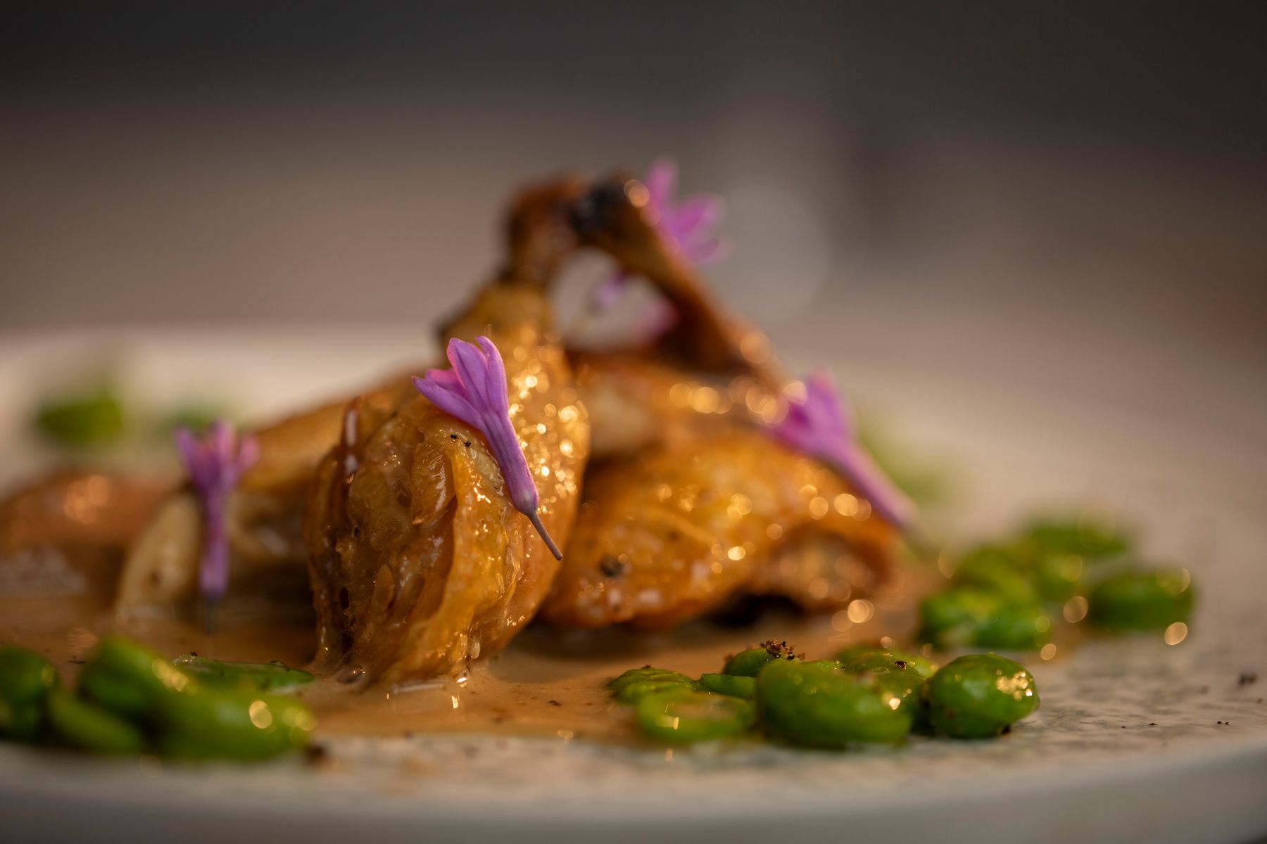 Poussin with Broad Beans and a Creamy Cepe Mushroom Sauce