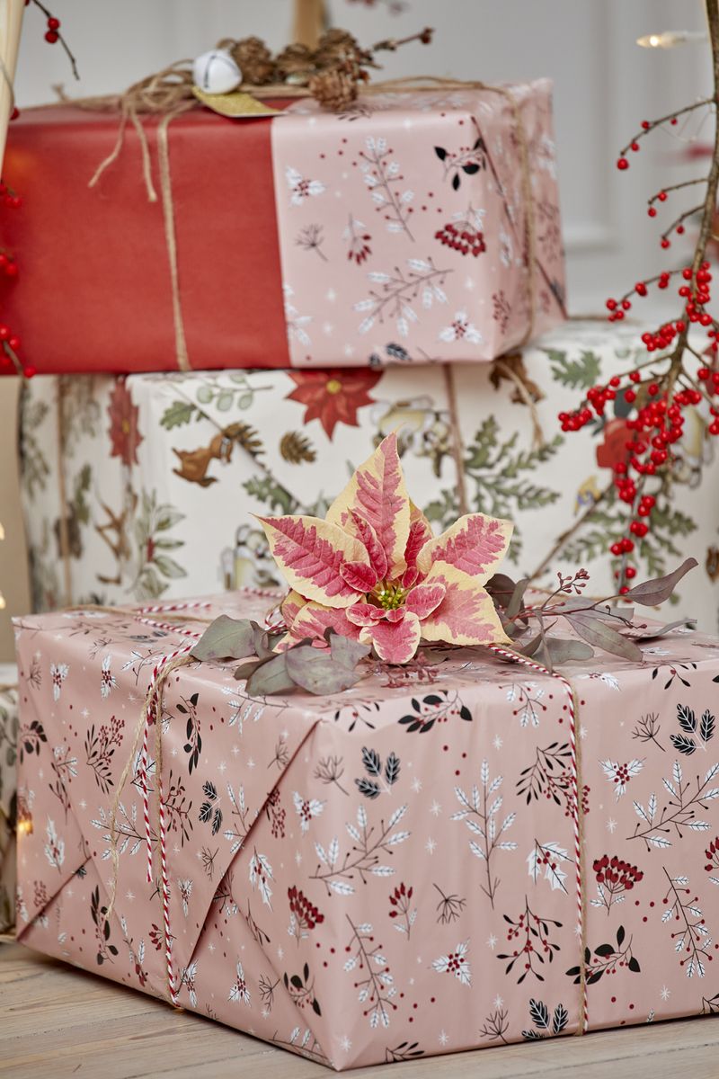 2022_poinsettia_04000_Christmas_Fairy_Tale_20.jpg