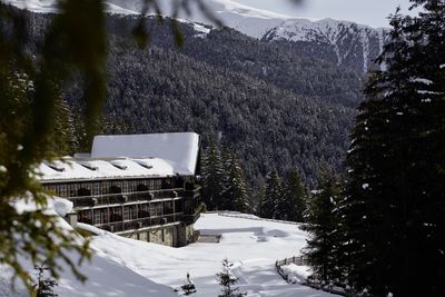 FORESTIS-Aussenansicht-Winter-2.jpg