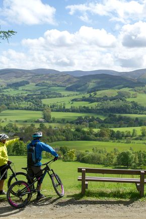 109275-glentress-forest.jpg