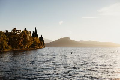 Fall_AlexMoling_CapeOfSenses-194.jpg