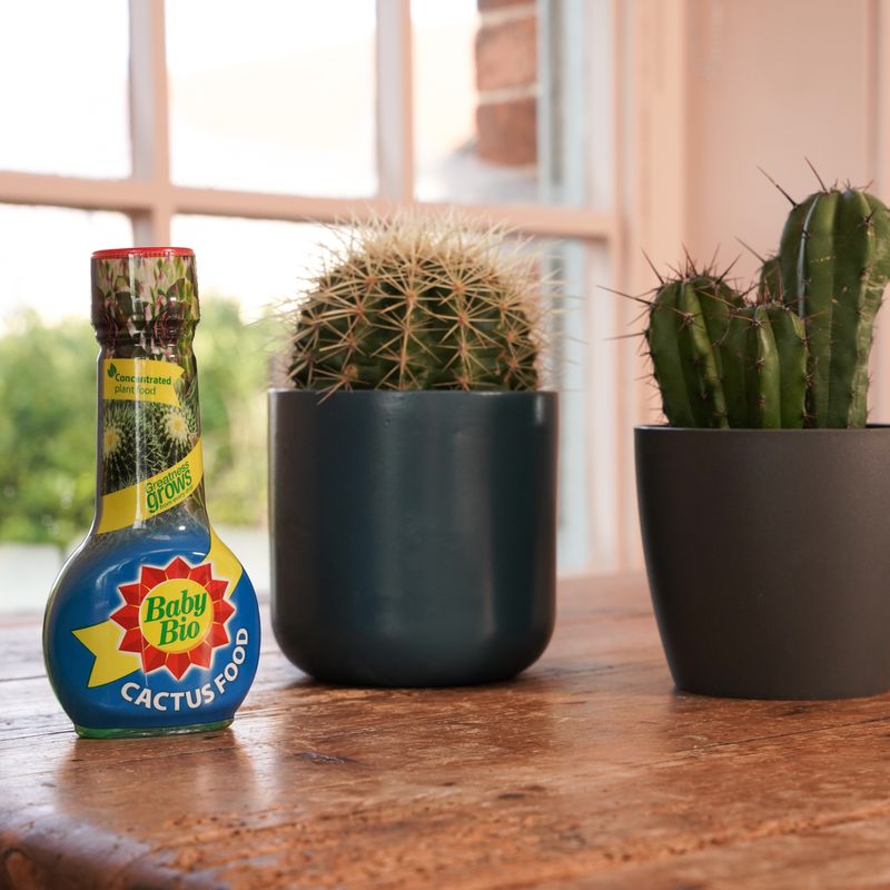 Baby Bio® Cactus Food