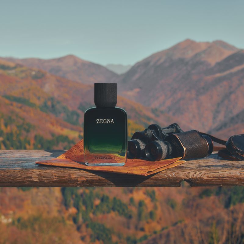 Vol. V — LA PANORAMICA