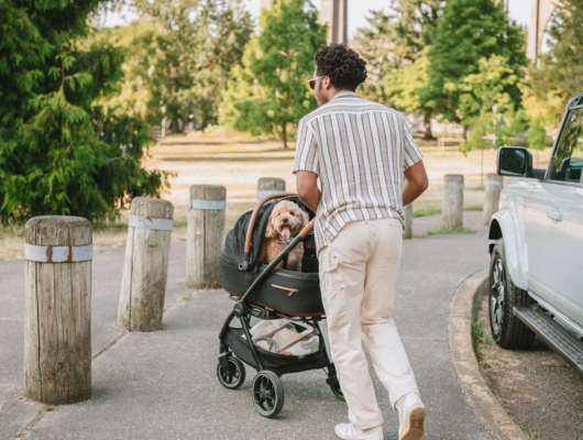 Tavo Maeve car seat and base pictired with optional Roscoe stroller