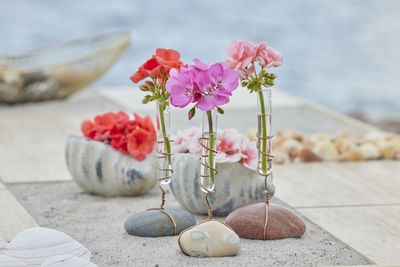 2023_Geraniums_2000_Coastal_Peace_Garden_26.jpg