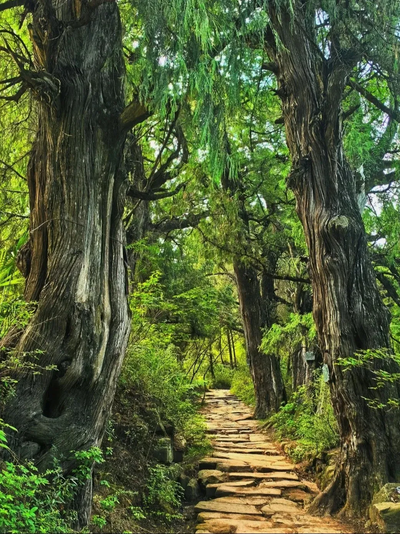 Ancient Shu Road 02.png