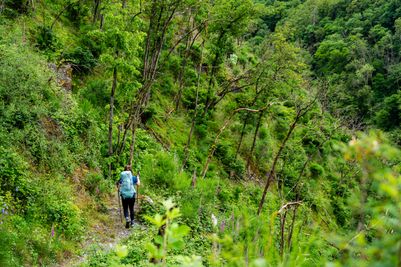 Lee-Trail-Day-1-JDJ36-©Jochem-de-Jong.jpg
