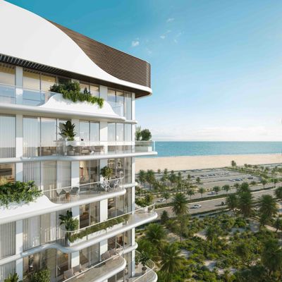 Coral Isle by Grovy X Usquare
