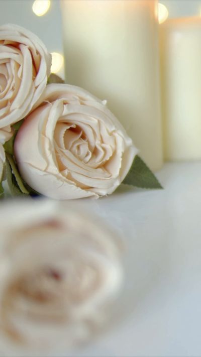 InterFlora FarEye Video .mp4
