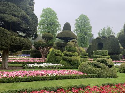 Levens Hall's topiary garden looking resplendent on World Topiary Day 2023