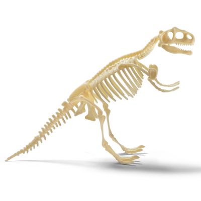 Natural History Museum T.rex Excavation Kit