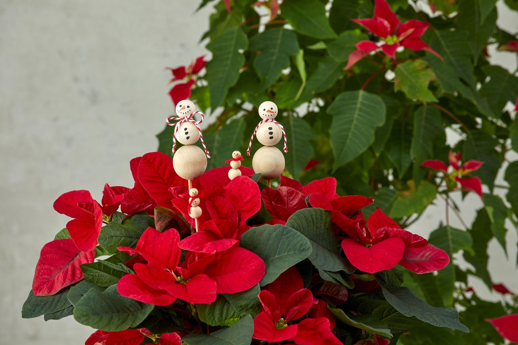 2022_poinsettia_05120_DIY_Decorative_Snowman_Flower_Sticks_06.jpg