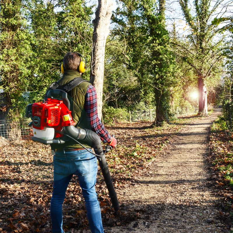BP43C Backpack Blower