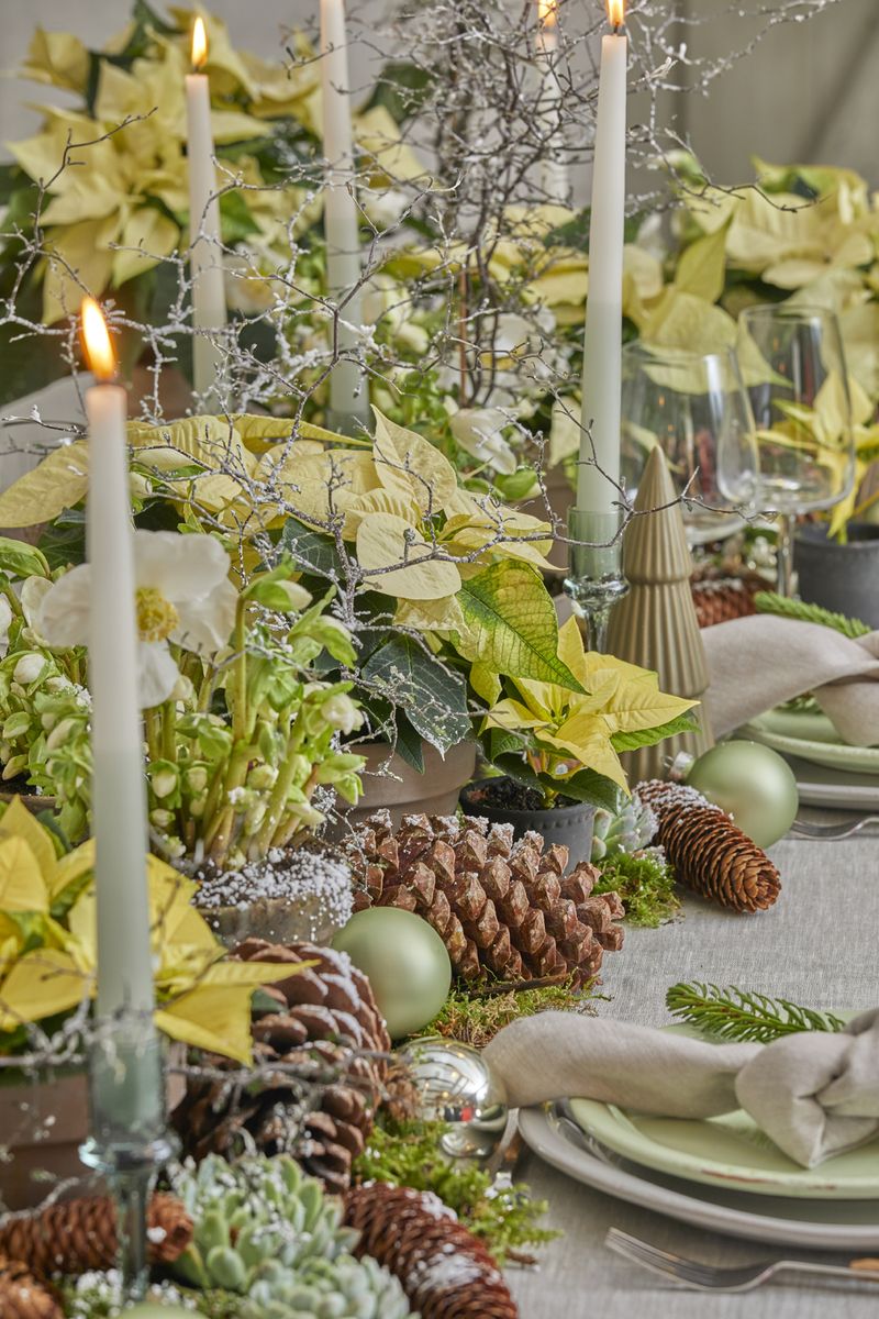 2022_poinsettia_02000_Urban_Loft_Christmas_10.jpg