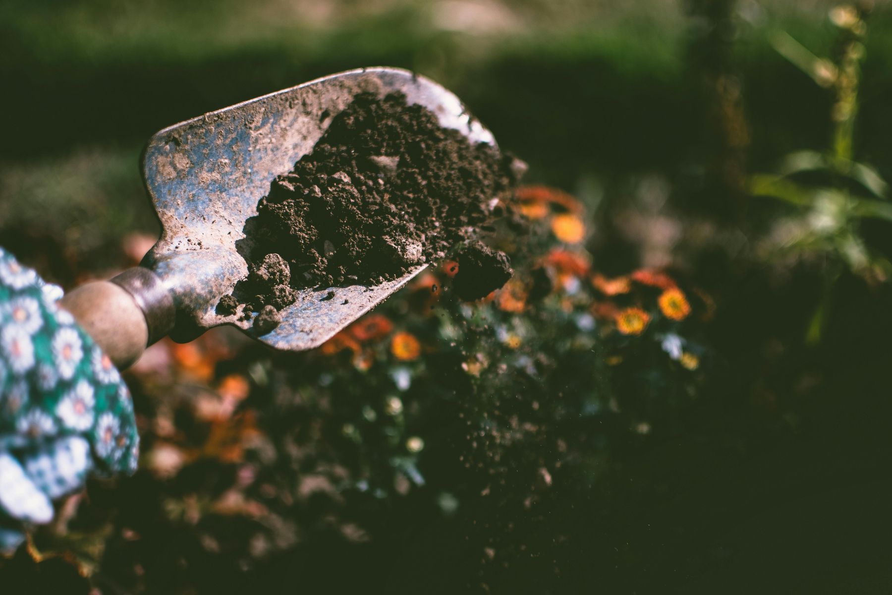 Improve soil health with Maxicrop