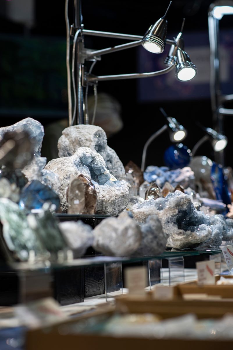 London Gem and Mineral Show 2024_550.JPG
