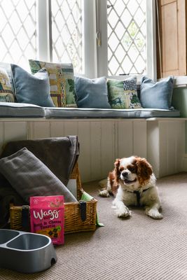 Pooch Pack In Cottage.jpg