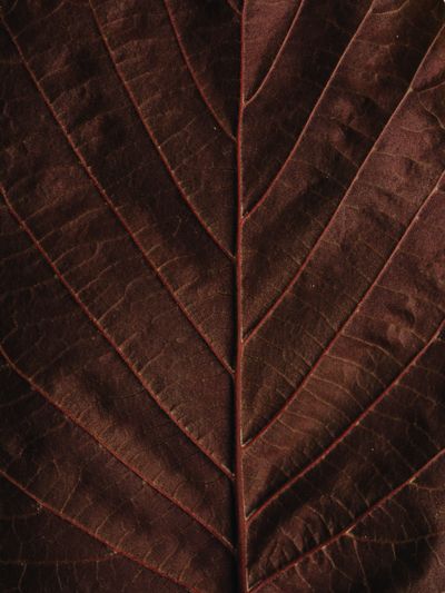 YERA-Details-1©Charlotte Lapalus-FORESTIS (14).jpg