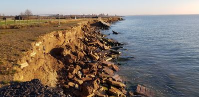 20181204_085956.jpg
