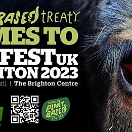 VegfestUK