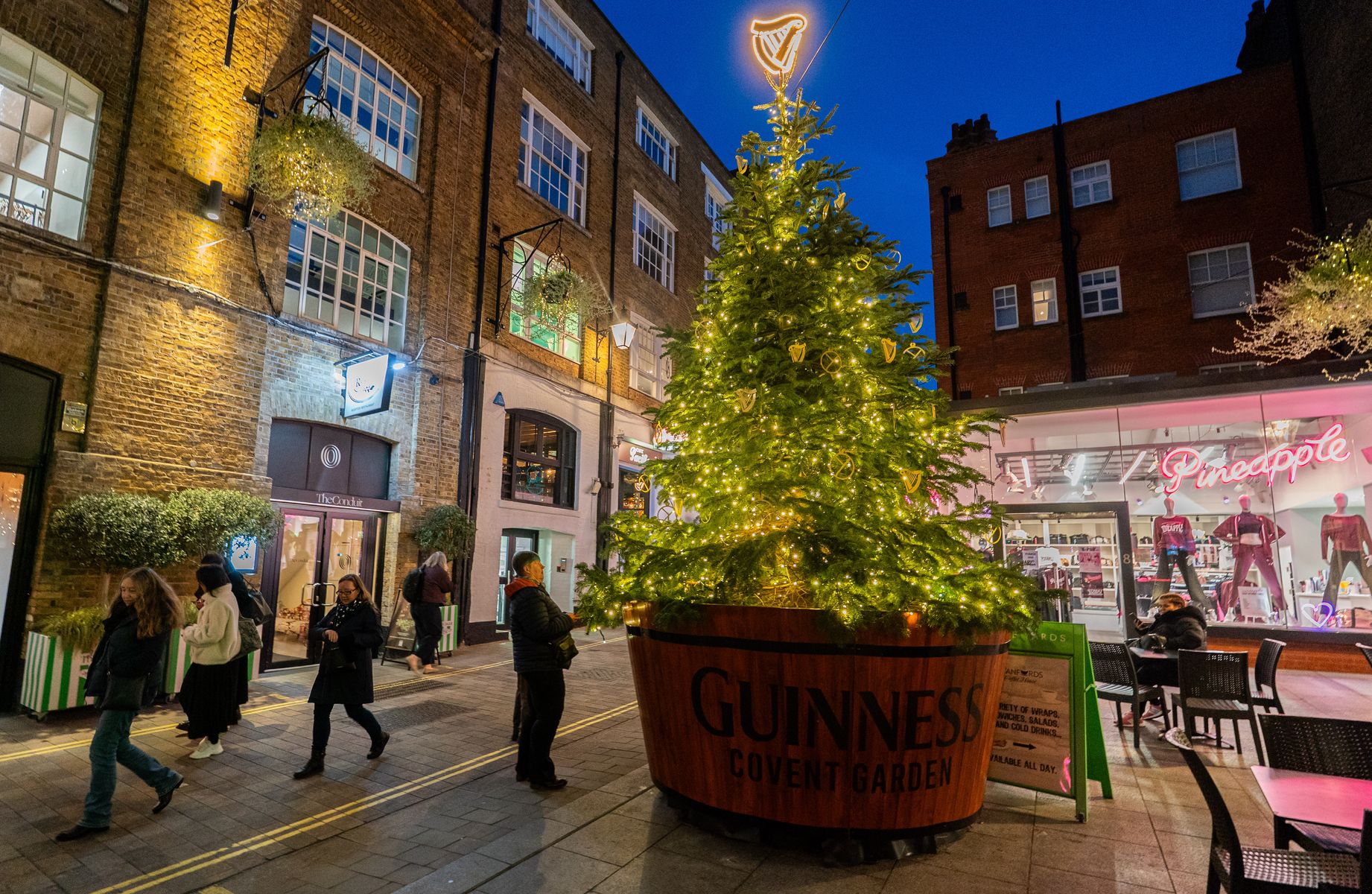 PinPep_TheYardsXmasLights_SJ_003.JPG