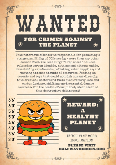 Halfway Heroes Stunt Flyer.pdf