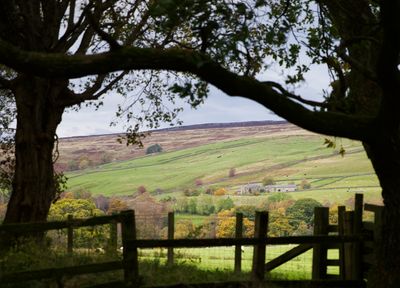 North Pennines, Northumberland_Landscapes (14).jpg