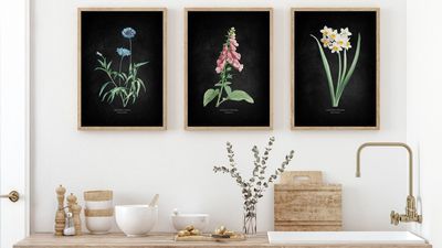 Suggested Header 2000px Florals.jpg