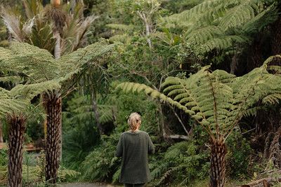 Nourishing-Nature-Hero-Edit-S.jpg