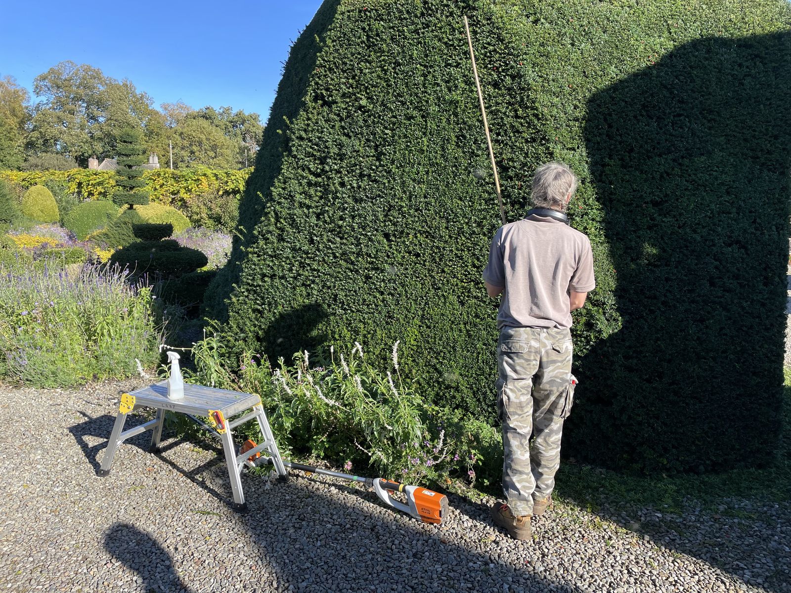 Head gardener, Chris Crowder, clips the topiary in the world's oldest topiary garden