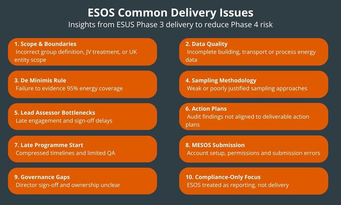 ESOS-Common-Delivery-Issues