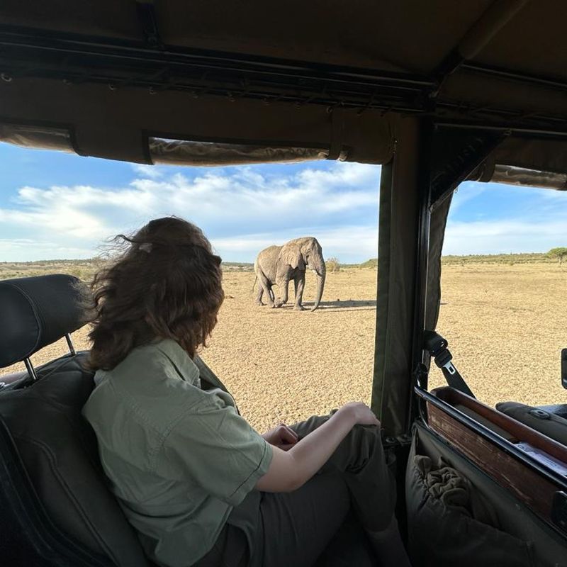 Kenya safari elephant UGC