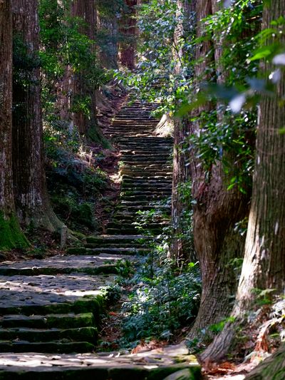 Kumano Kodo