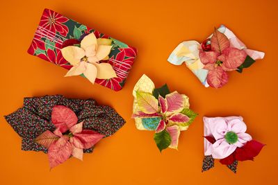 2022_poinsettia_05130_DIY_Reusable_Japanese_Gift_Wrap_07.jpg
