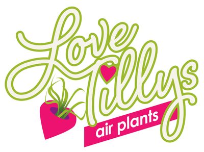 Love Tillys Logo keyline.jpg