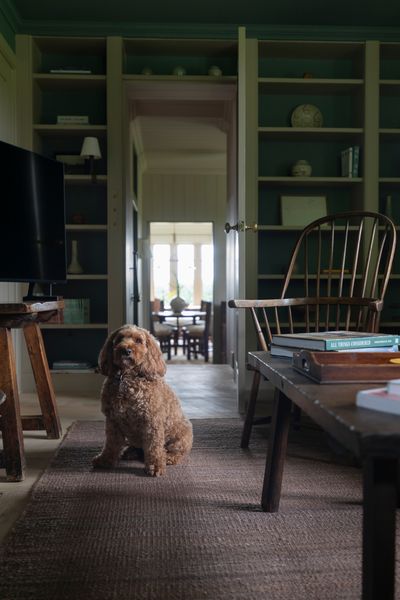 Button at North Lodge, Milne Graden_Dogs (1).jpg