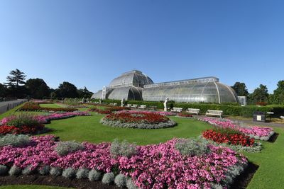 Summer at Kew Gardens 