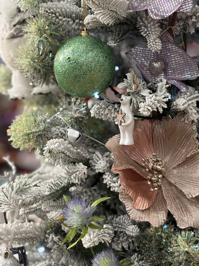 Move over gonks – there's a new festive tradition in town! 