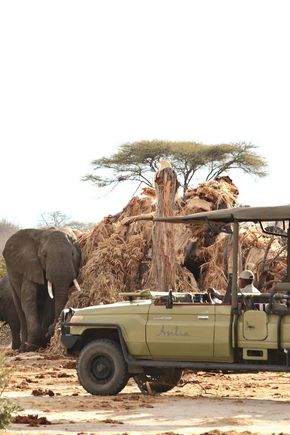 P_Asilia Lodges & Camps_Tanzania_Ruaha National Park_Jabali Private House_Activities_Game Drive_6.jpg