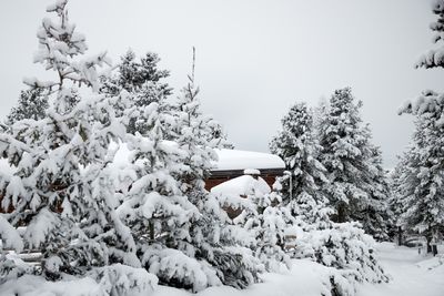 OdlesLodge-Nature-Winter-©Odles Lodge_Konstantin Volkmar (18).jpg