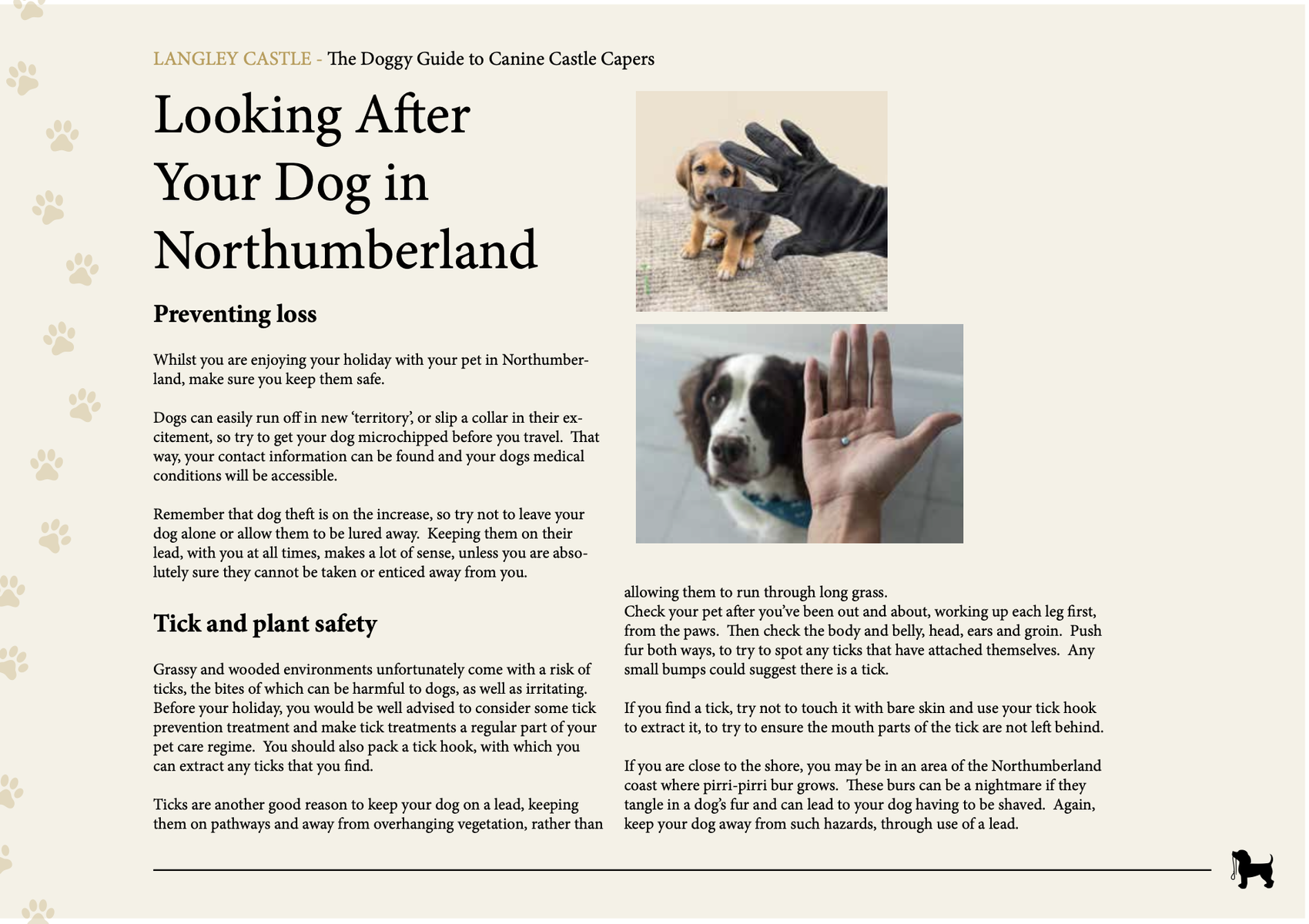 One of the pages in the Langley Castle 'Doggy Guide to Canine Castle Capers',